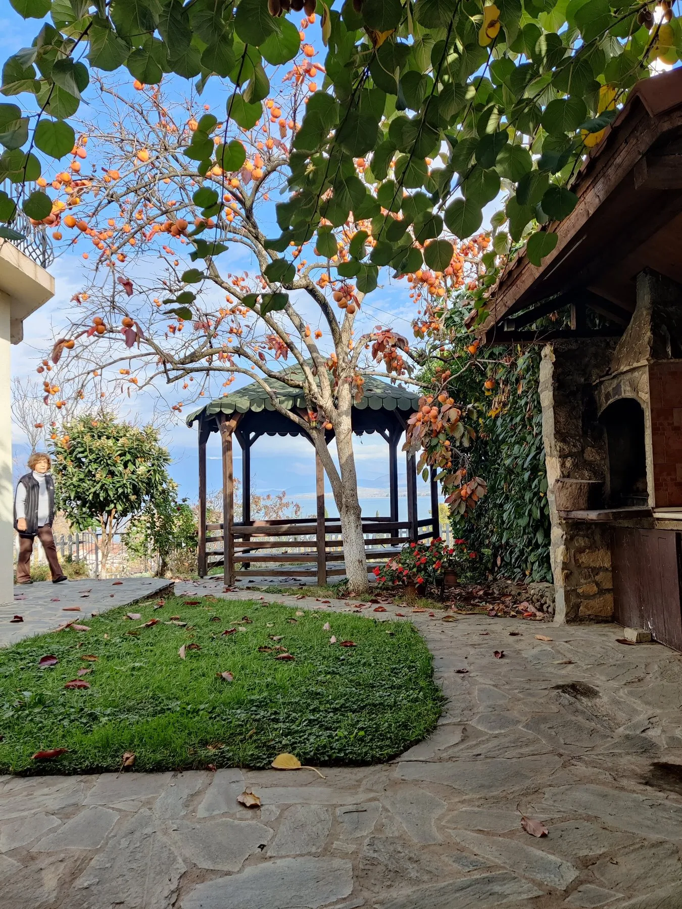 Persimmon tree canopy and garden seating at Vila Roza