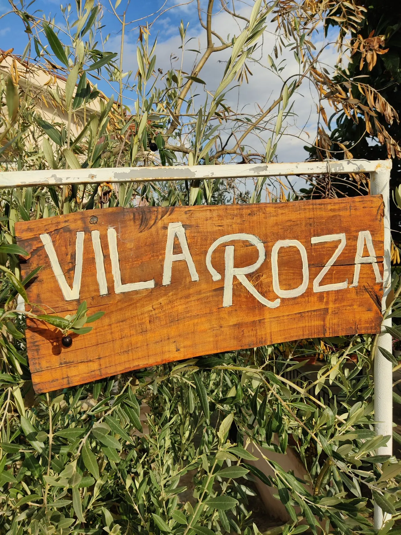 Hand-painted Vila Roza sign among olive branches